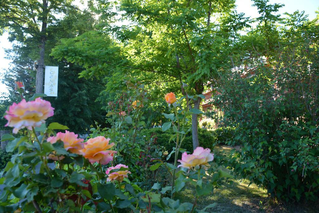 Hospedium Hostal Almanzor Наваредонда де Гредос Екстериор снимка